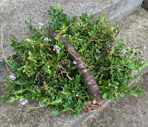 Palmsonntag Kinderkirche 4