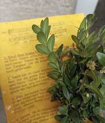 Palmsonntag Kinderkirche 3